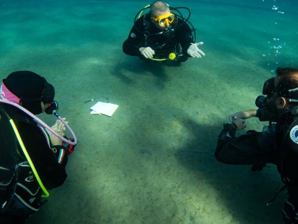 Thumbnail photo for Elite Diving in Sharm prepares for increased BSAC training
