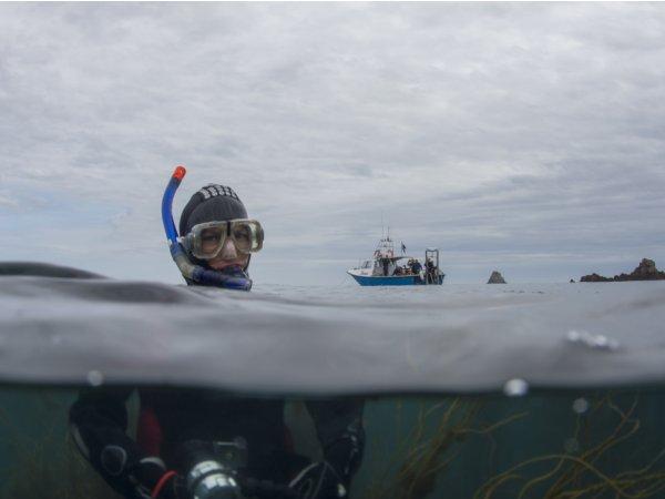 Thumbnail photo for Snorkel Safety Talk - it's cold out there