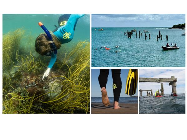 Thumbnail photo for Join us at the BSAC Snorkelling Festival 2026