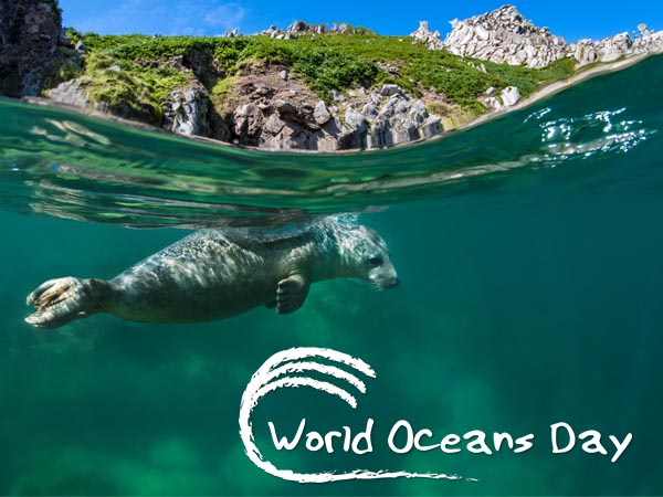 World Oceans Day 8 June 2018 image by Alex Mustard underwater photographer