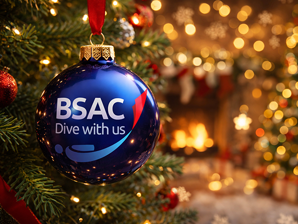 Thumbnail photo for Merry Christmas from the BSAC team