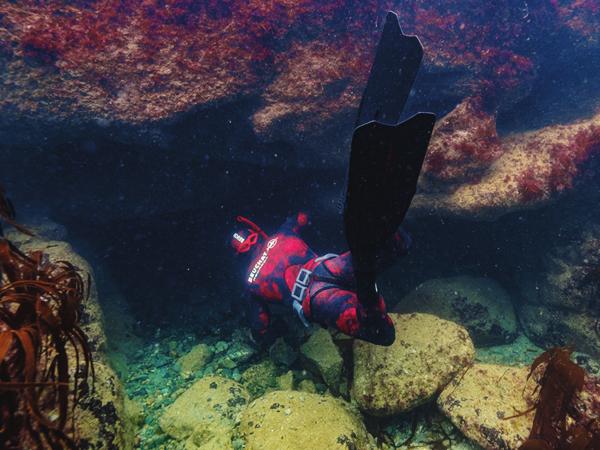 Andy Torbet underwater, peering into a mysterious hole in the harbour wall