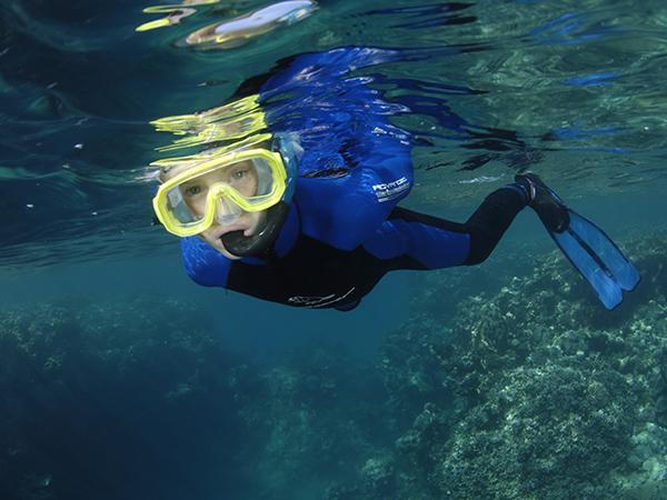 Thumbnail photo for Snorkelling in the Adriatic