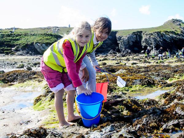 Thumbnail photo for Free beach activity for kids this summer