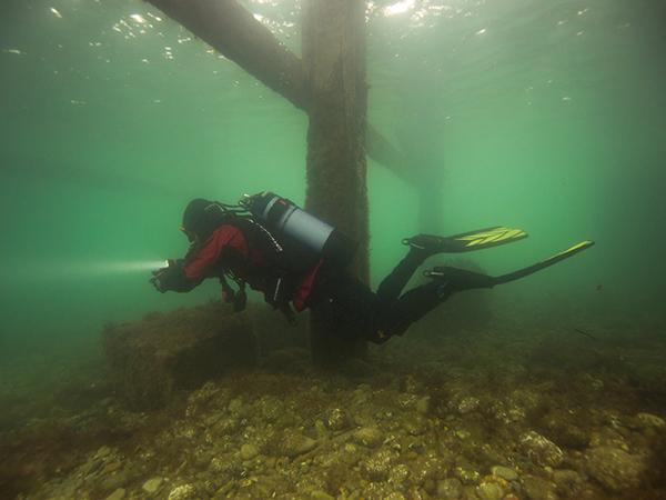 Thumbnail photo for Tour of great British diving: south and west