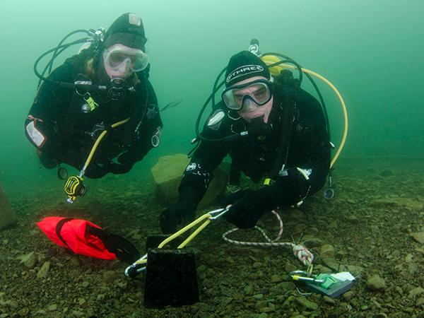 Thumbnail photo for Act now! Book your 2026 BSAC scuba dive and snorkel training