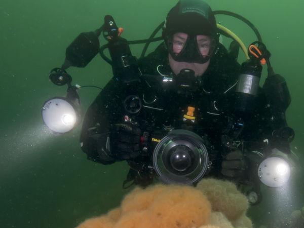 Thumbnail photo for Helping out UK diving shops, centres and charters