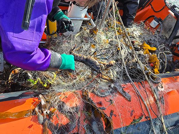 Thumbnail photo for Fathoms Free honoured with the King's Award for Voluntary Service