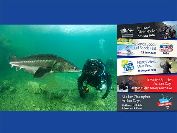 Thumbnail photo for Join a Dive Fest in 2026!