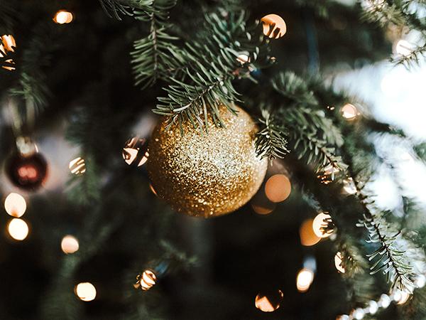Thumbnail photo for Christmas and New Year opening hours