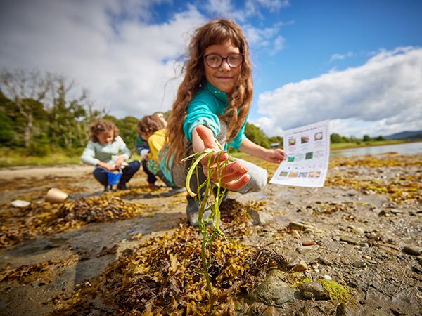 Thumbnail photo for Summer citizen science safety