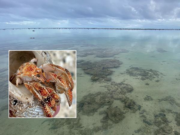 Thumbnail photo for Pacific marine conservation zones explained