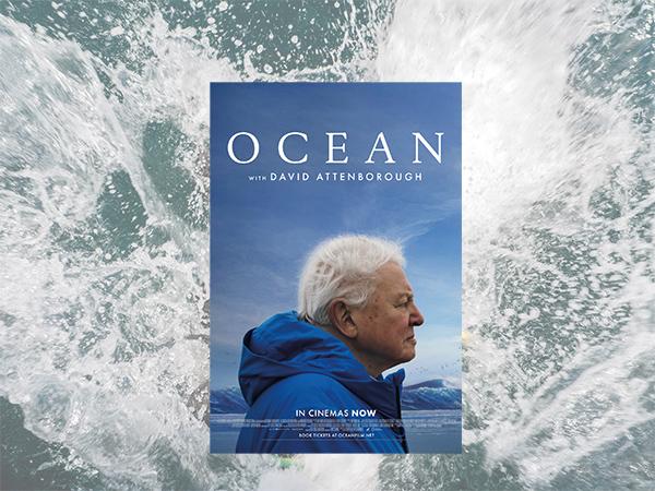 Thumbnail photo for Happy 99th birthday Sir David Attenborough!