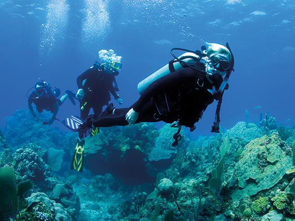 Person scuba diving in Egypt with fish