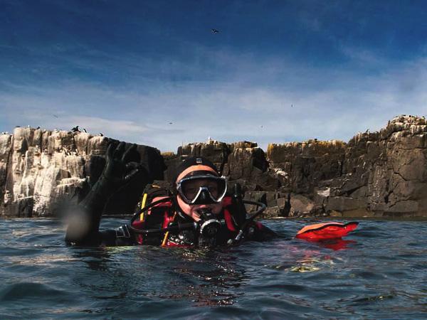 Thumbnail photo for Farne Islands expedition success