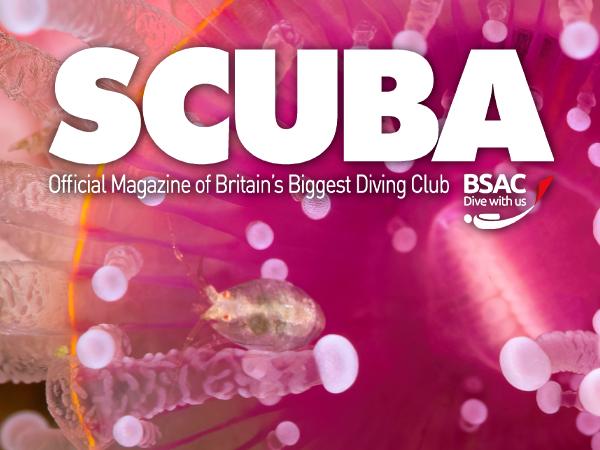 Thumbnail photo for December iSCUBA looks back on 10 years of SCUBA magazine