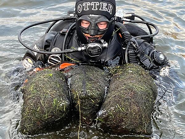 Thumbnail photo for BSAC volunteers help remove invasive weeds in Snowdonia