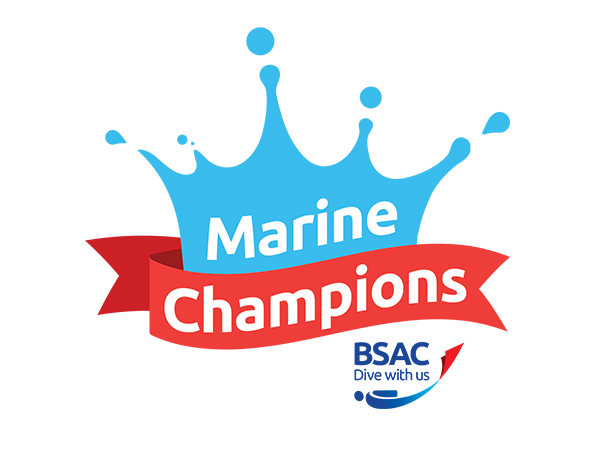 Thumbnail photo for Marine Champions - play your part in protecting the environment