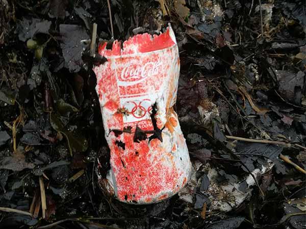 Marine Conservation Society (MCS) spring beach clean and litter survey at Cramond beach