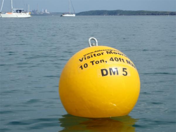 Thumbnail photo for Diving the Milford Haven Waterway: Your 2026 briefing