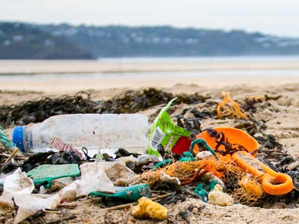 Organise Beach Cleans and Underwater Litterpicks for Marine Clean 2018 - Picture by Natasha Ewins