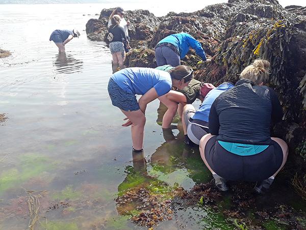 Thumbnail photo for National Marine Week 2026