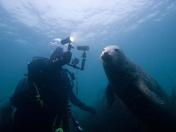 Thumbnail photo for Top UK scuba diving adventures for 2023