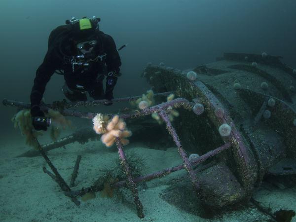 Diver from Ghost Fishing UK at work