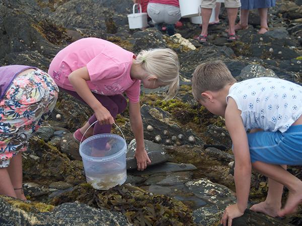 Thumbnail photo for BSAC and The Wildlife Trusts team up to celebrate National Marine Week 2026