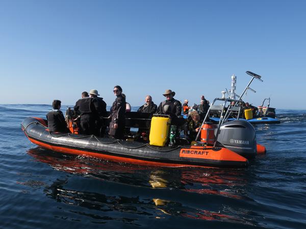 Thumbnail photo for How to scuba dive safely this long hot summer