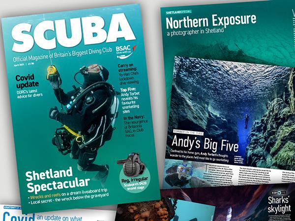 Thumbnail photo for Searching back issues of SCUBA