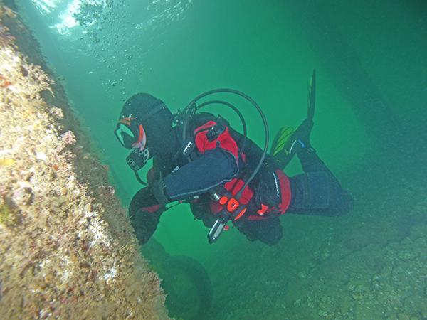 Thumbnail photo for Pier review: fabulous scuba diving in Swanage, Dorset