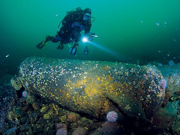 Thumbnail photo for Shipwrecks - the neglected habitat