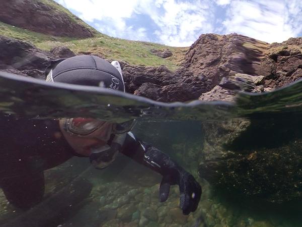 Thumbnail photo for Looking forward to snorkelling in 2021