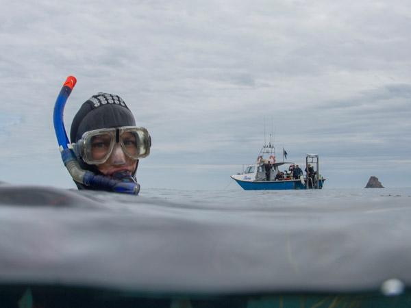 How to stay warm when snorkel diving in cold water