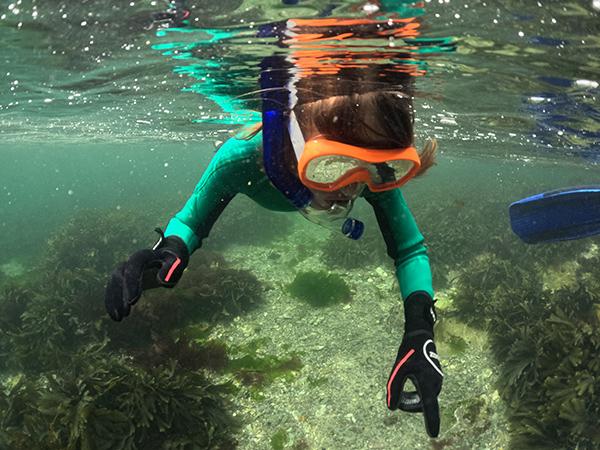 Thumbnail photo for Snorkel trails – a great way to discover UK snorkelling