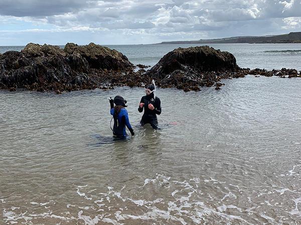 snorkelling