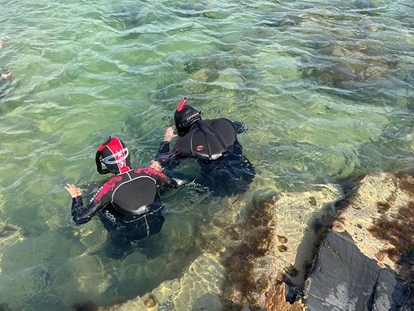 Thumbnail photo for New interactive map for snorkellers