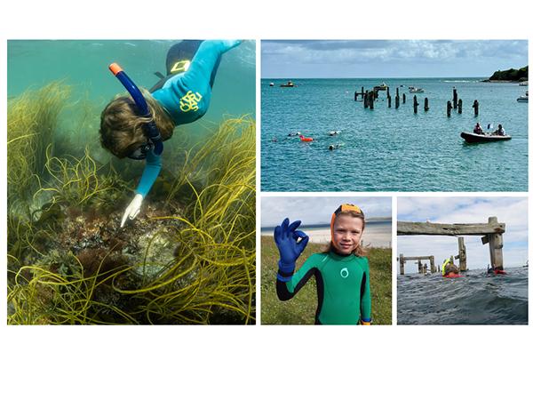 Thumbnail photo for Join us at the BSAC Snorkelling Festival 2026