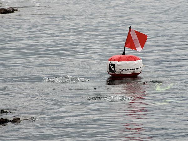 Thumbnail photo for Diving and other non-contact sports and watersports to resume in Northern Ireland