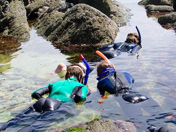 Thumbnail photo for Scotland hosts first Snorkel Festival this June