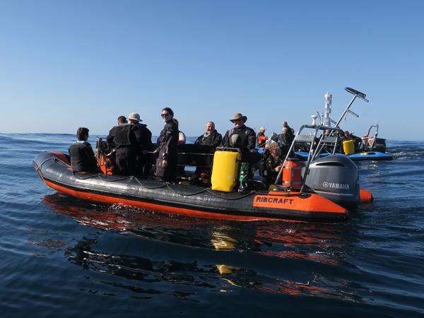 Thumbnail photo for Top tips to grow your BSAC club in 2019