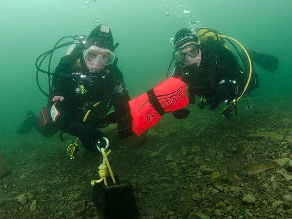 Thumbnail photo for Book your dive and snorkel training: Programme of Events 2027 now live