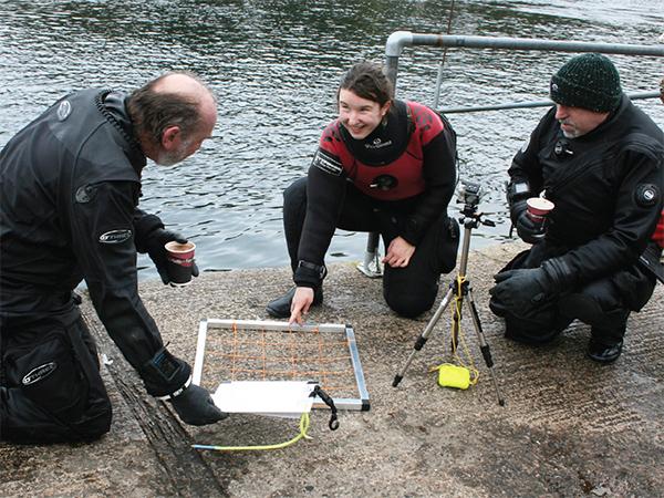 Thumbnail photo for Tips for underwater surveys