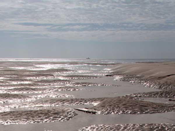 Help protect the Goodwin Sands from destruction by dredging