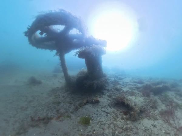 Thumbnail photo for Portsmouth diver attempting to solve 100-year-old shipwreck mystery