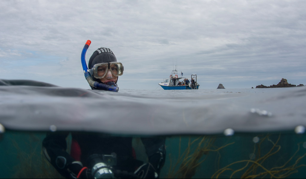 How to stay warm when snorkel diving in cold water