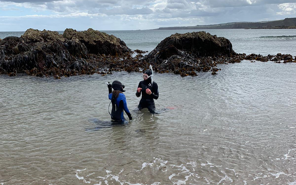 snorkelling