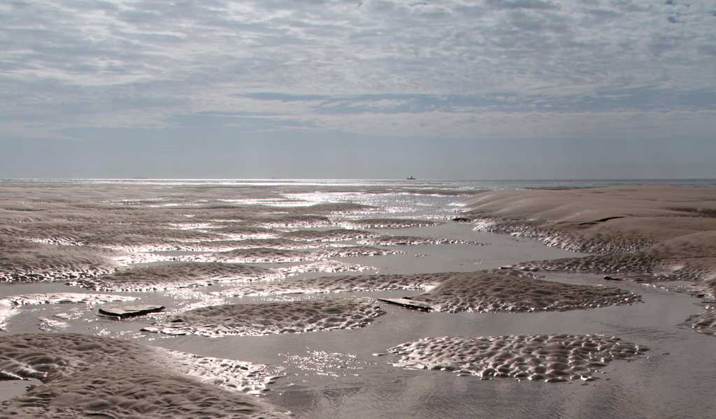 Help protect the Goodwin Sands from destruction by dredging