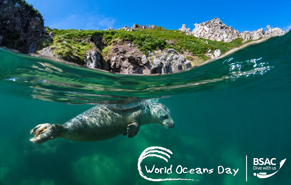 World Oceans Day 8 June 2018 image by Alex Mustard underwater photographer